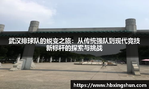 武汉排球队的蜕变之旅：从传统强队到现代竞技新标杆的探索与挑战